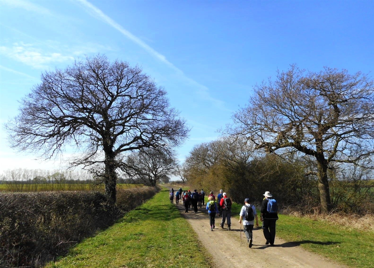 Beside the Foss Dyke